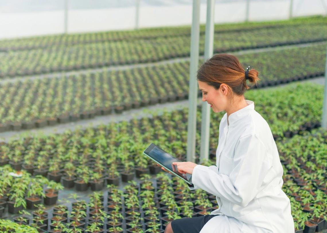  Allexxandar // Shutterstock 