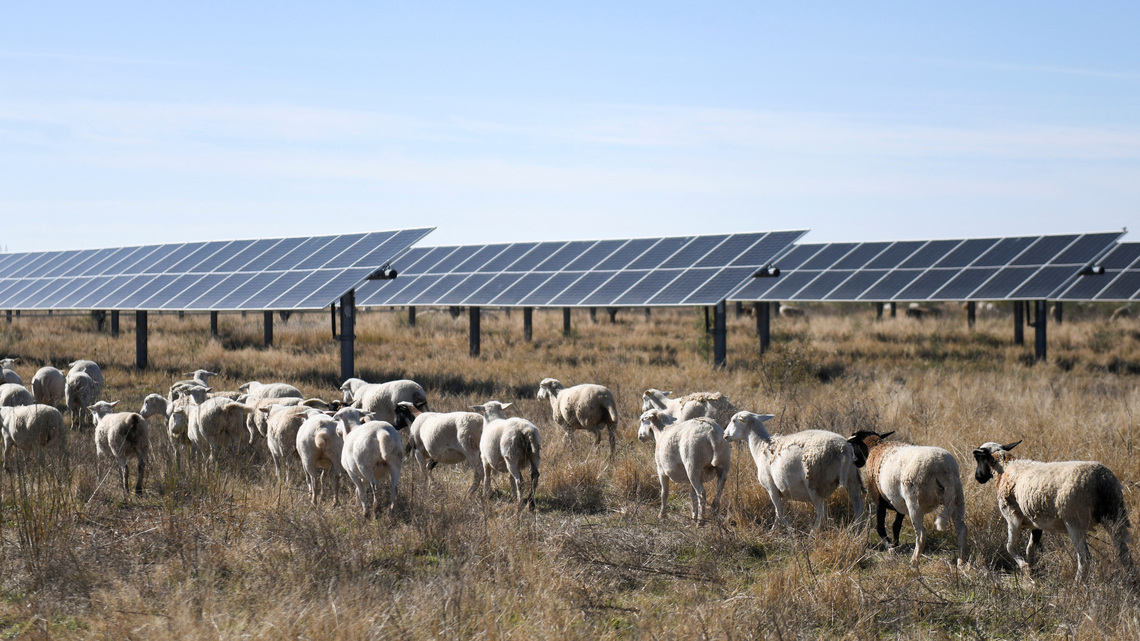 New Trump rules will make it harder for farmers to access US funds for energy projects 
