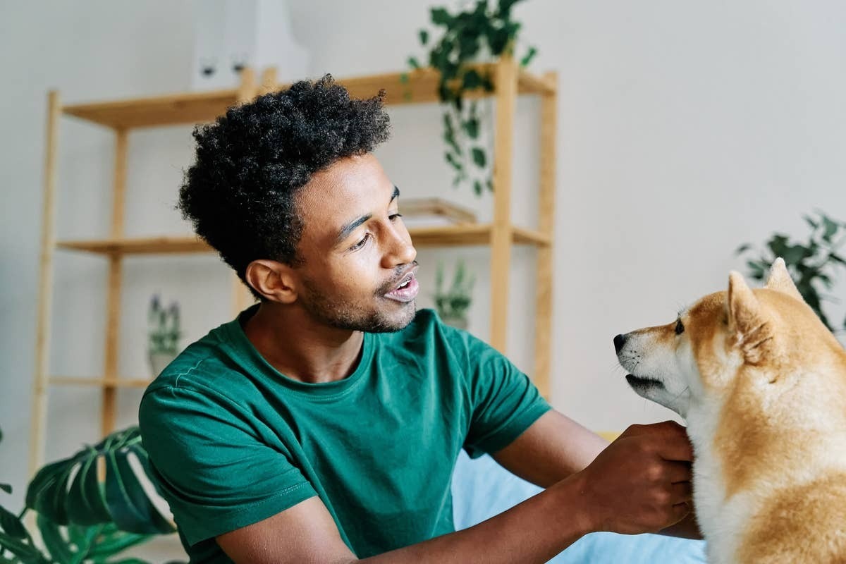 A pet parent speaking to its dog in a sweet and high-pitched tone.