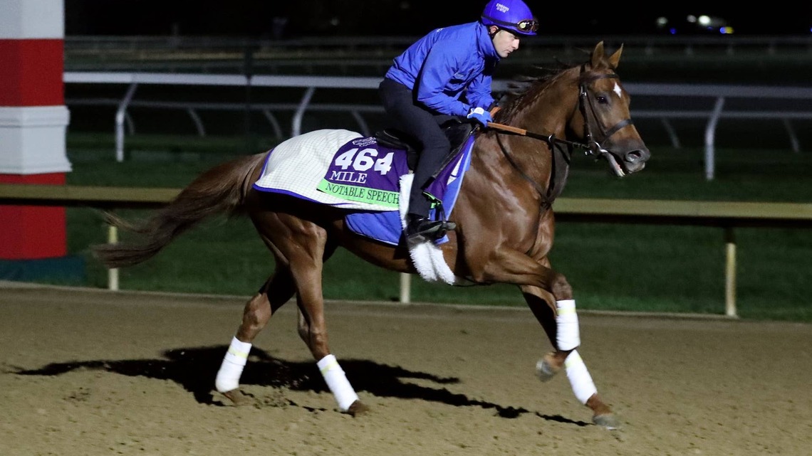 Breeders' Cup Notes: European Contenders Take to Keeneland Track Following Quarantine Release 