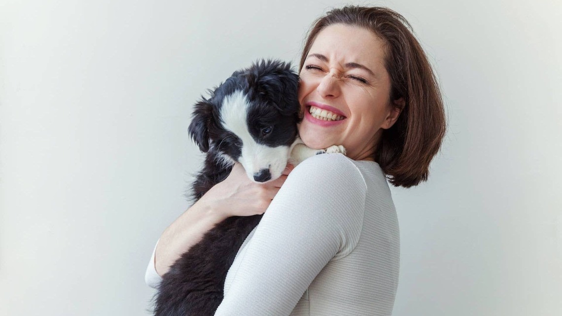 This Popular Dog Food Brand Just Issued a Recall Over Metal Contamination 