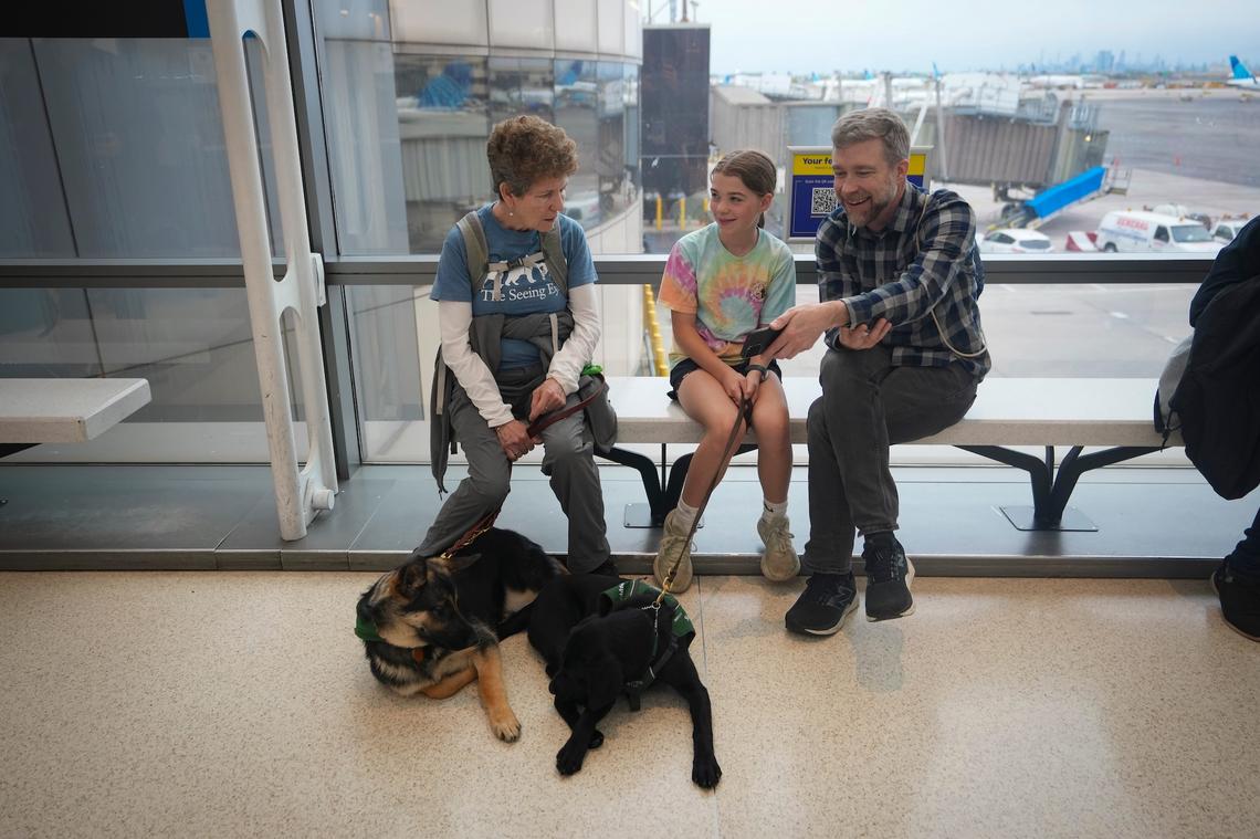 Volunteers and their seeing eye dogs.Yannick Peterhans/NorthJersey.com / USA TODAY NETWORK via Imagn Images