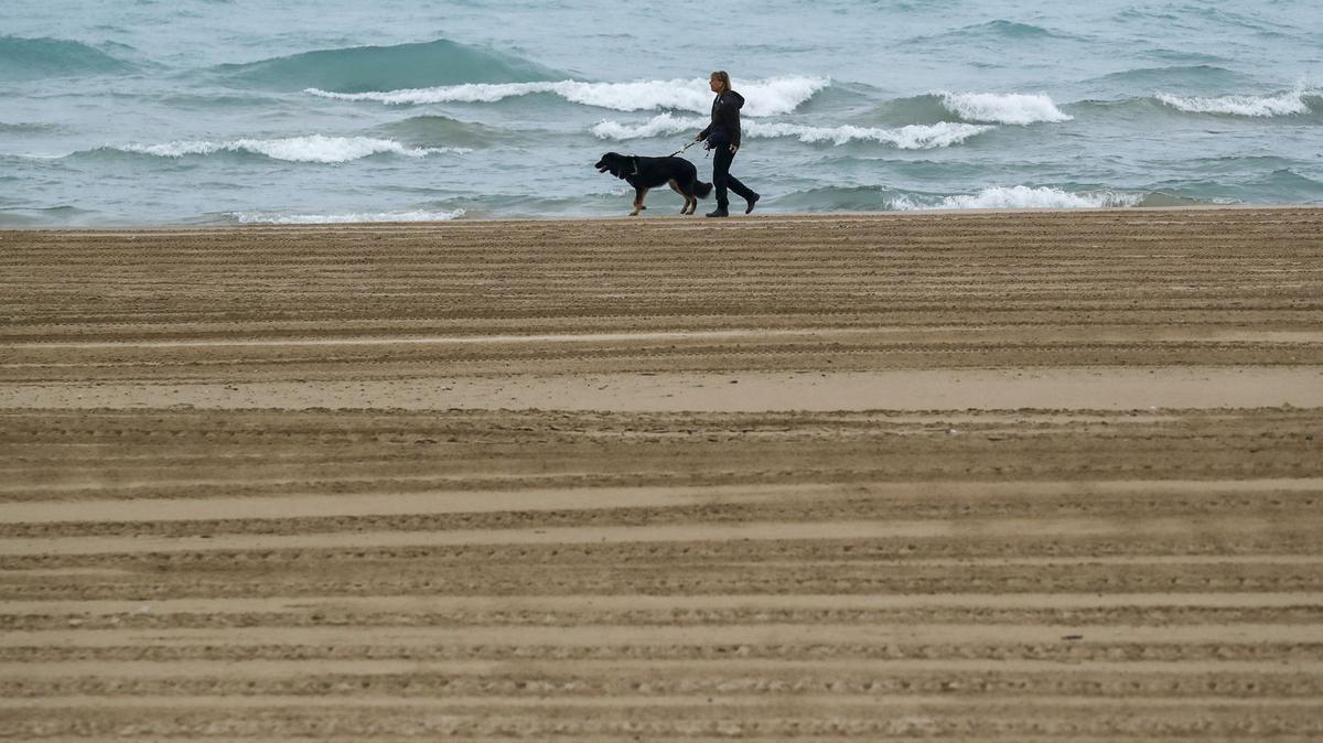 A woman walks her dog at a freshly groomed Montrose Beach in Chicago after Chicago Park District crews work on the sand in preparation for Memorial Day weekend on May 24, 2022. (José M. Osorio/Chicago Tribune/TNS)