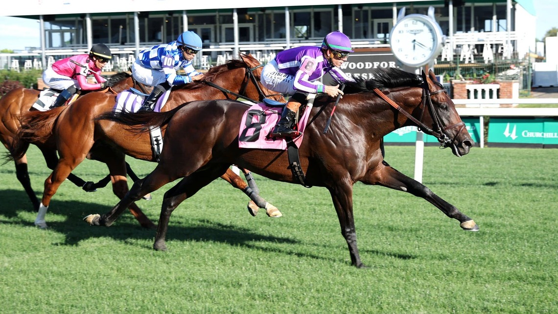 Treaty Of Rome To Enter Stud In Venezuela