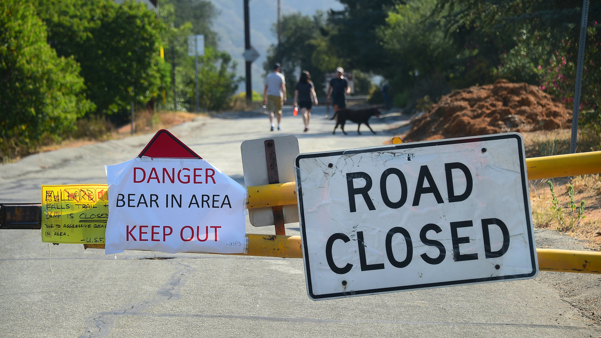 Hikers ignore a warning on road closure due to a bear attack that closed the Millard Campground in Altadena, Calif., on June 29, 2016.