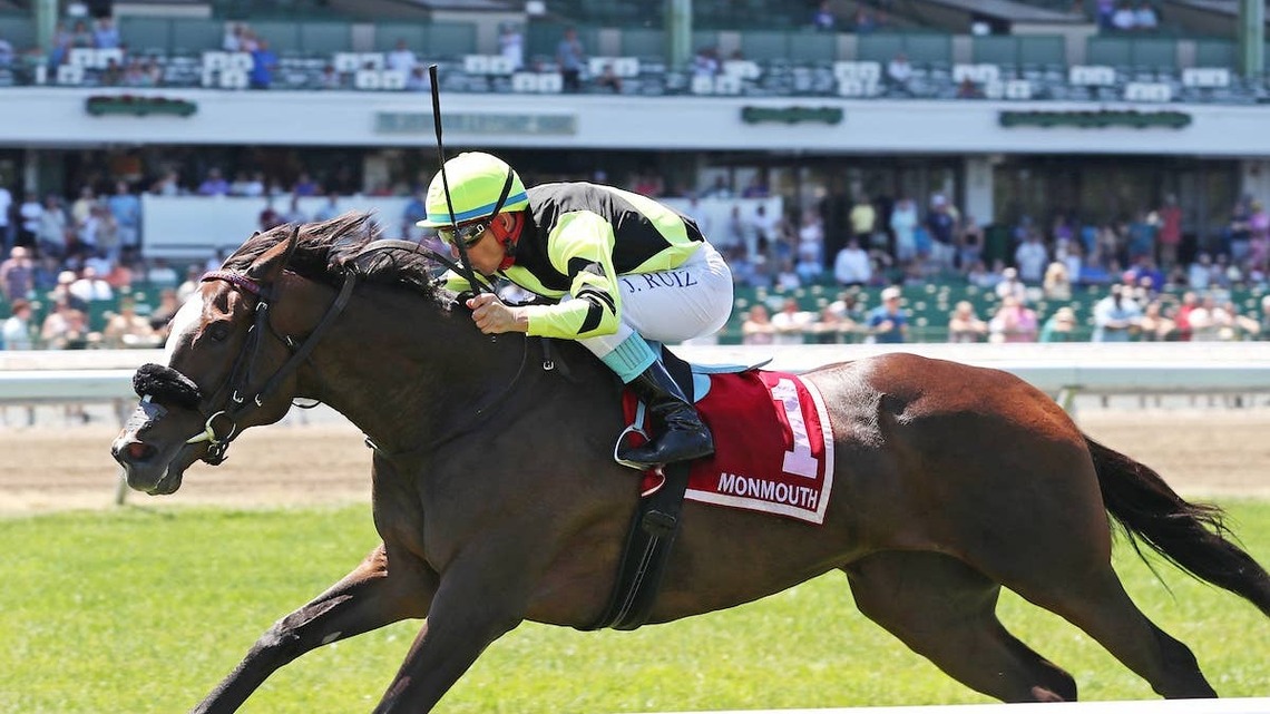 Graham Motion Trainee Gimme A Nother Looks to Break South Africa's Breeders' Cup Drought 