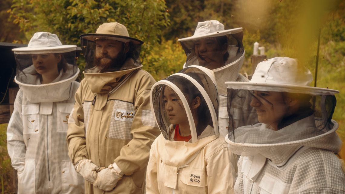 Honey, call the bee vet!