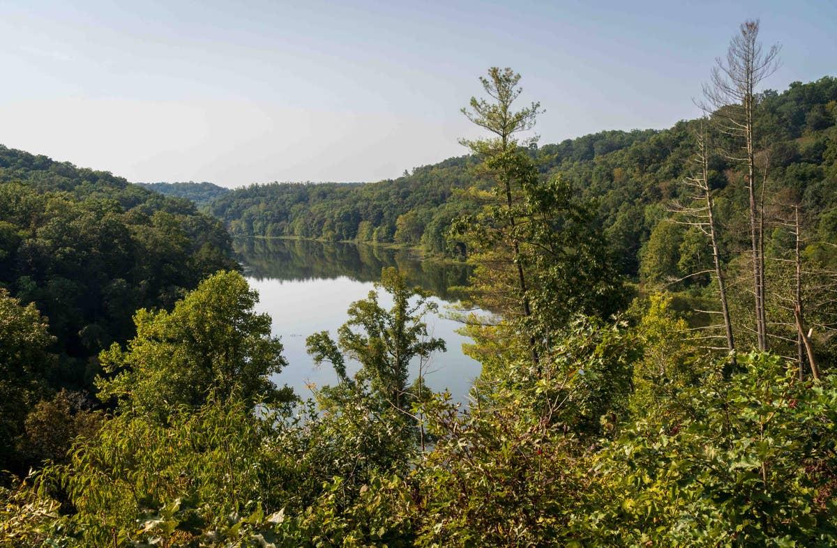  You'll encounter rattelsnakes in Wayne National Forest.