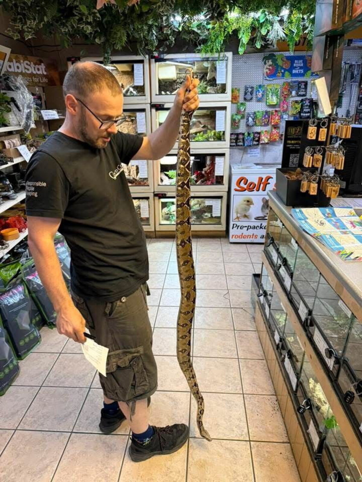  The snake at Coast to Coast Exotics. (Blackwell Grange Gol via SWNS) 