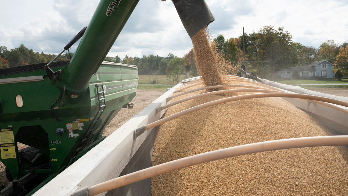 China's September US soybean imports rebound from zero a year earlier, data shows 