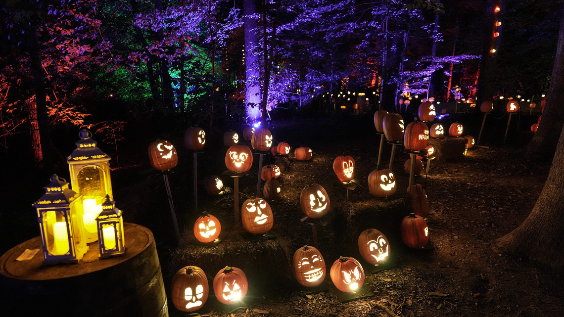 Get your first look at Jack's Lantern Trail at Iroquois Park