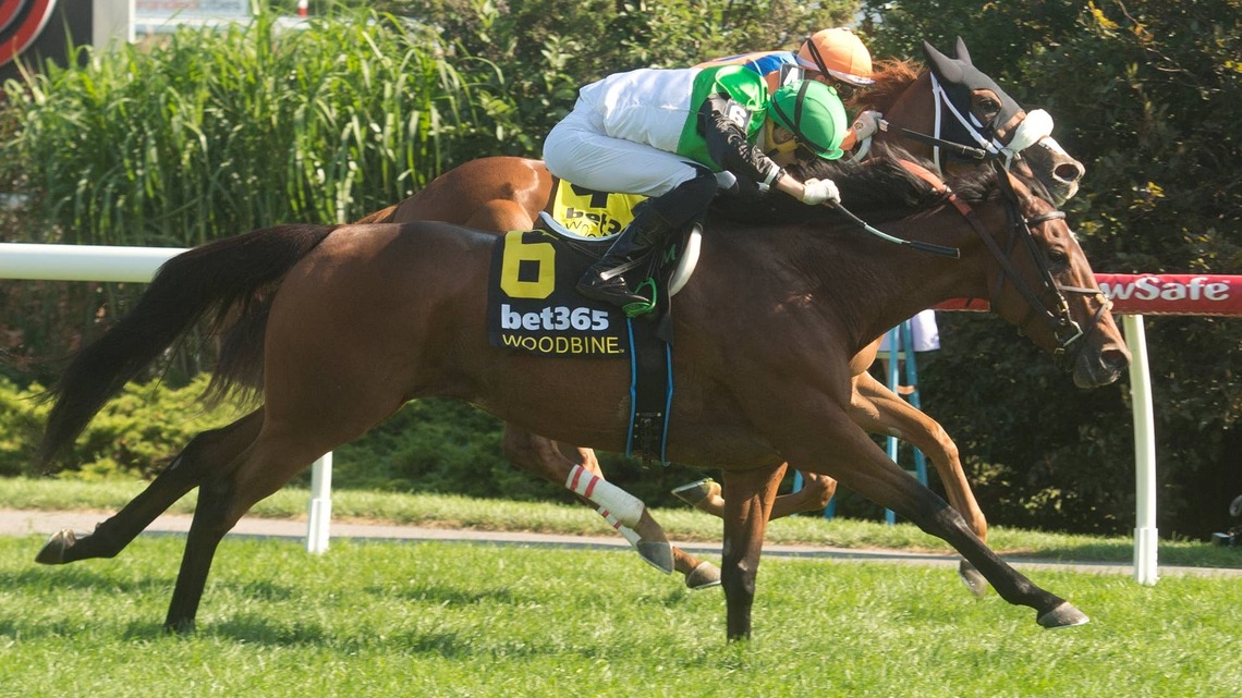 Proctor Street Continues Big Day For Pietro Moran In Canadian 