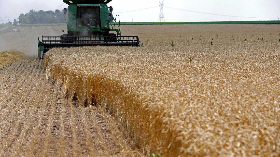 Rising fuel prices hit US farms as Iran war drags on 