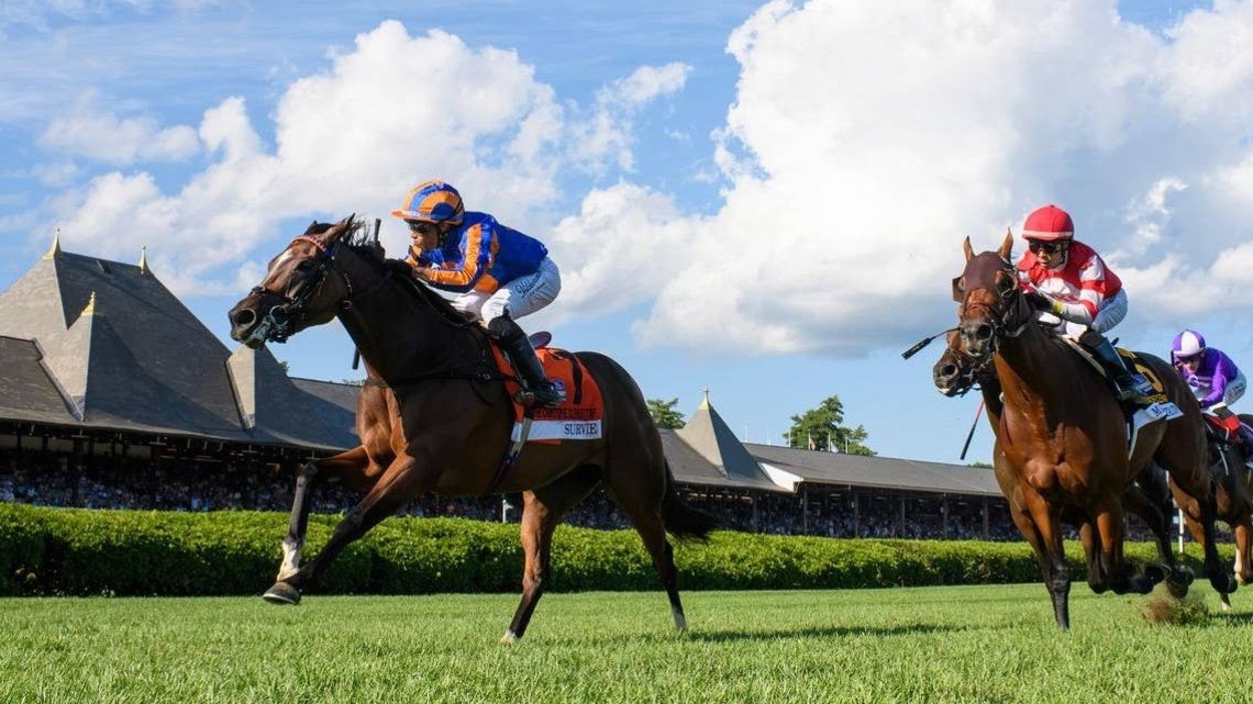 'Should Love The Distance': Front-Runner Storm Miami Seeks Stakes Breakthrough In Waya 