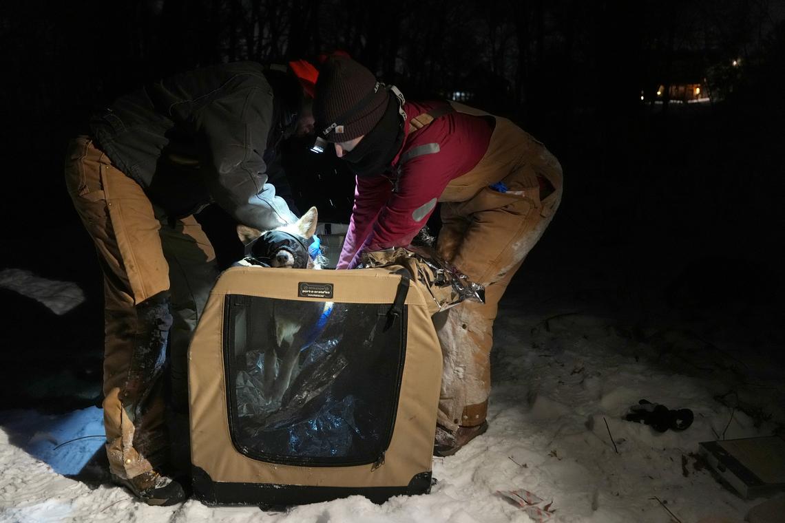 Anthony Soufflé/Minnesota Star Tribune/TNS