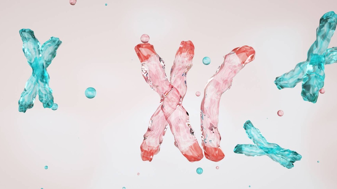 Japanese Scientists Removed the Extra Chromosome Linked to Down Syndrome in Lab-Grown Cells 