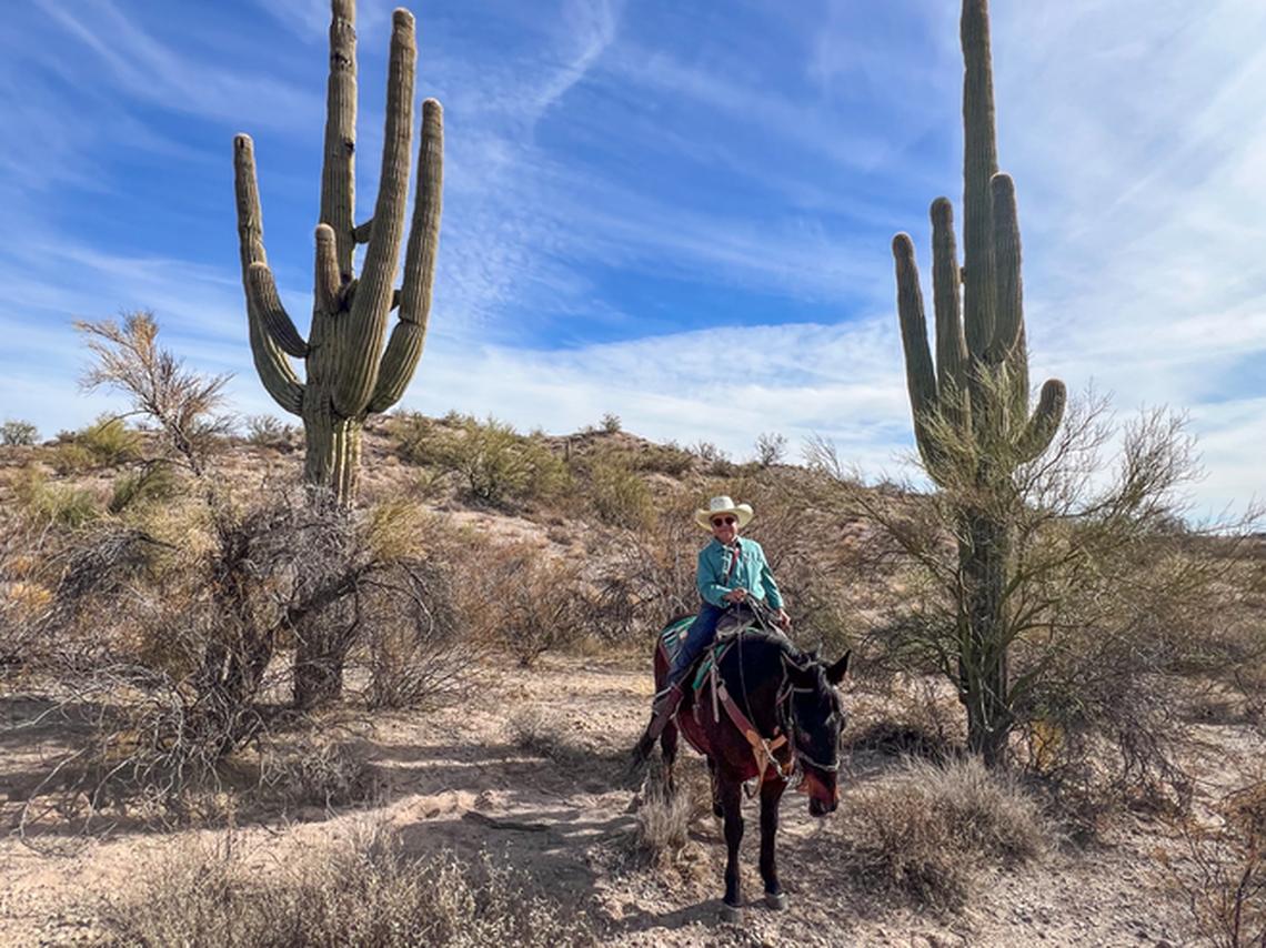 Author on Snip in the Sonoran Desert. Photo credit: Ky, the Wrangler