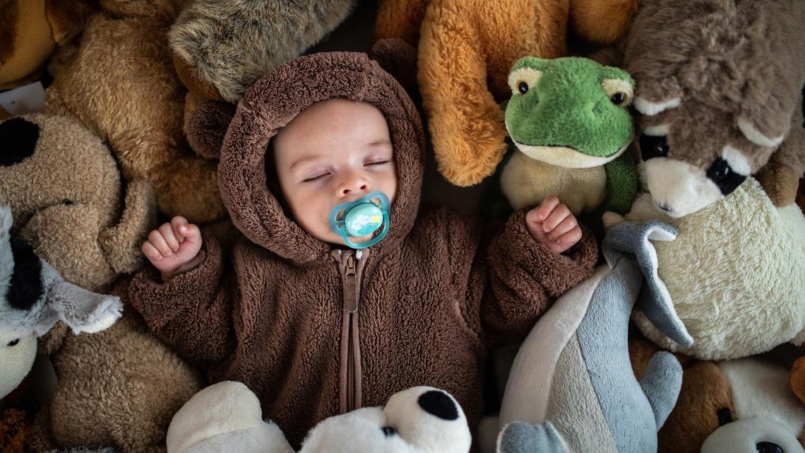 This Iconic, Viral Seal Plushie Is On Sale for 35% Off on Amazon-But Not for Long! 