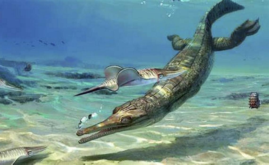  Turnersuchus is a rare marine crocodylomorph known from very few examples worldwide. (Lyme Regis Museum via SWNS) 