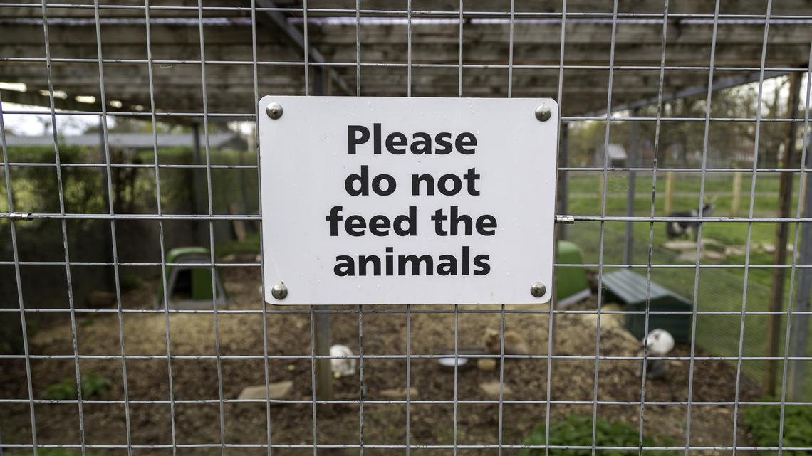 Commentary: Roadside zoos: Keep on driving