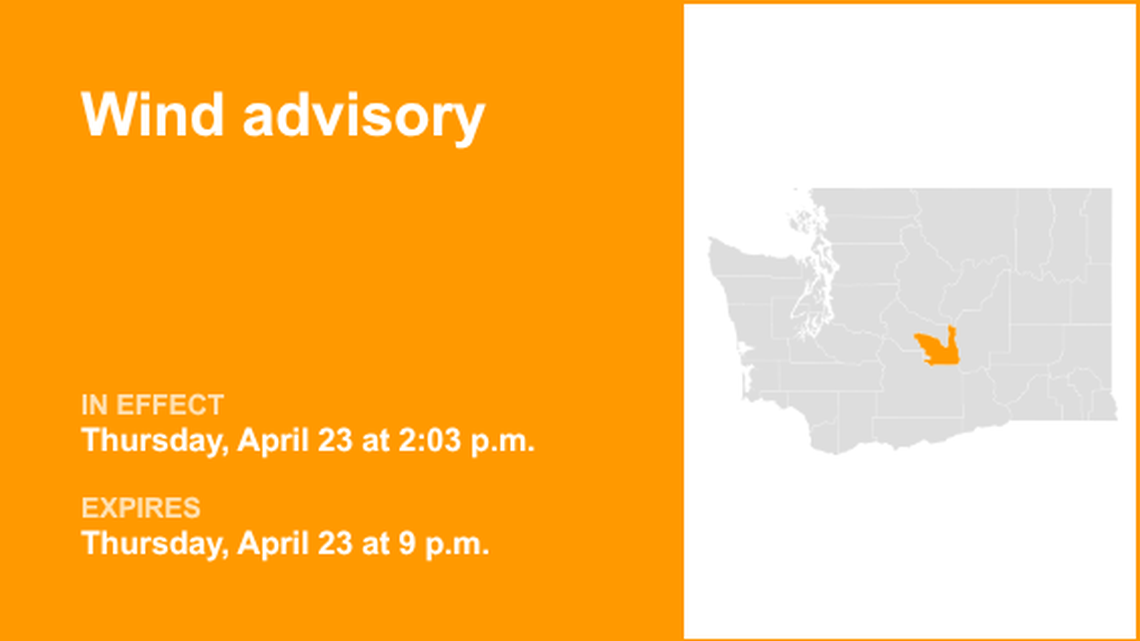 unitedrobots photography