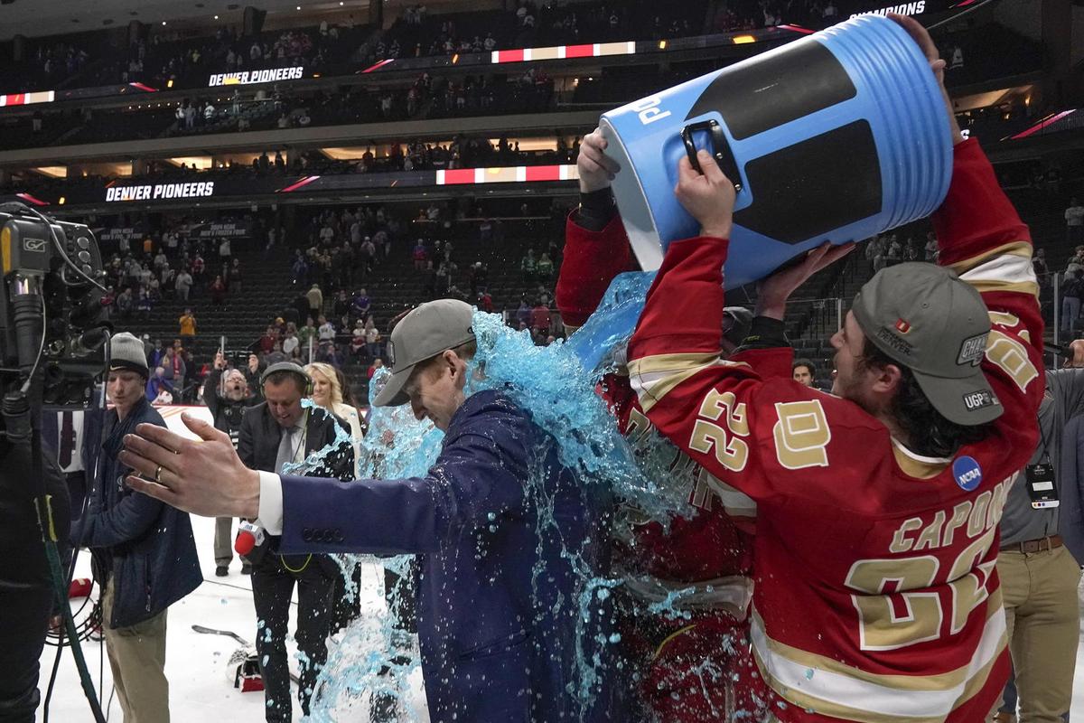  David Carle Is An NHL-Worthy Coach Who Looks Better Off In The NCAA 