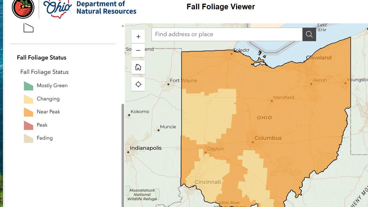 Fall colors burst across Greater Akron as leaves reach near peak ...
