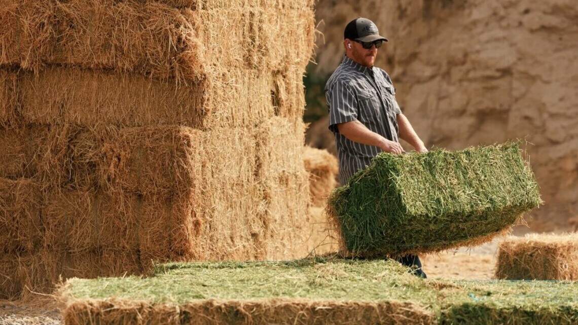 WA farmers face realities of unprecedented drought