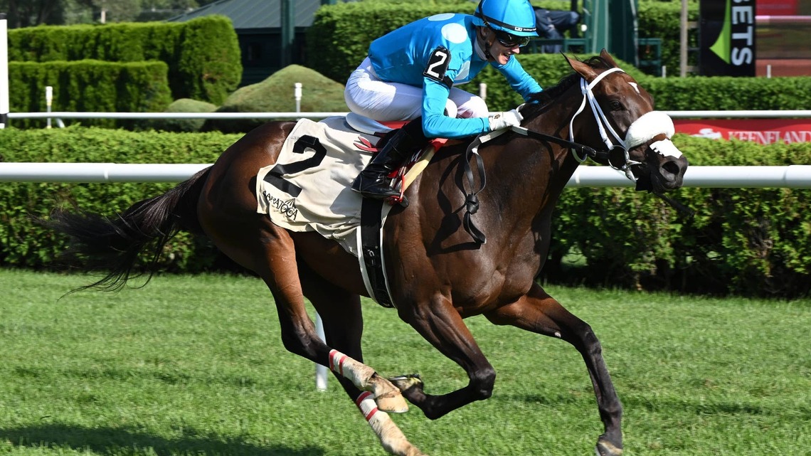 Go For Launch Will Prep For Breeders' Cup Juvenile Turf Sprint In Algonquin Stakes 