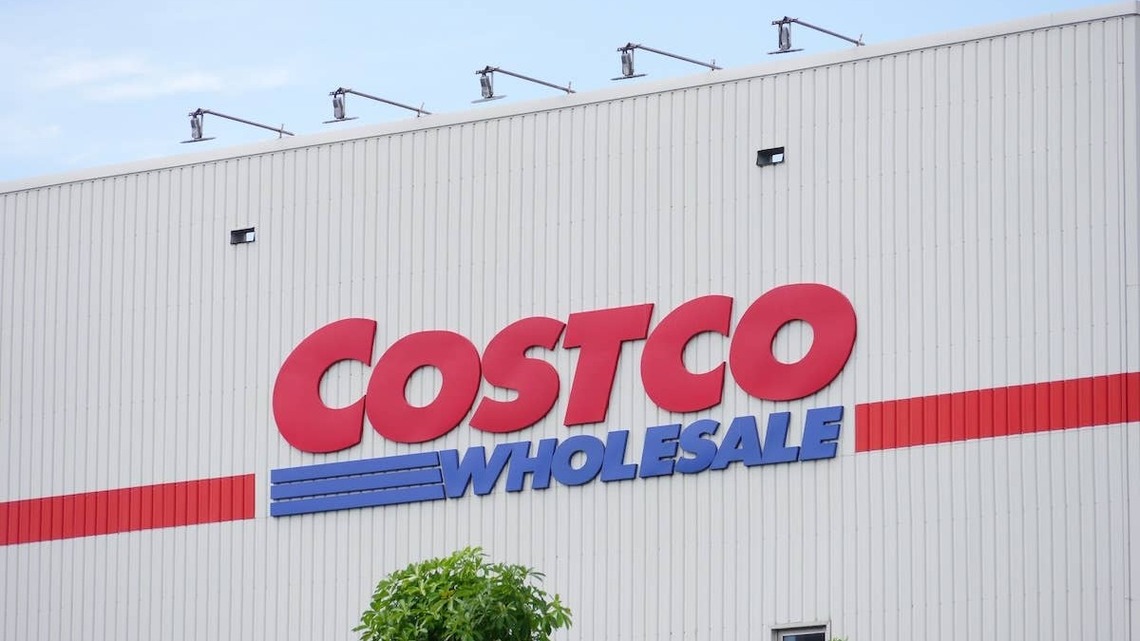 Cat Parents Say This One Costco Buy Changed How They Think About Their Cat's Health 