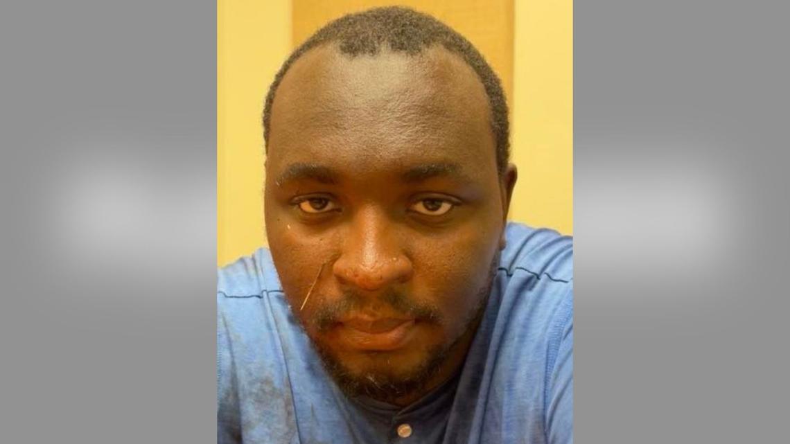 Man Arrested for Repeatedly Stabbing Woman Walking Dog in 'Vicious' Attack 