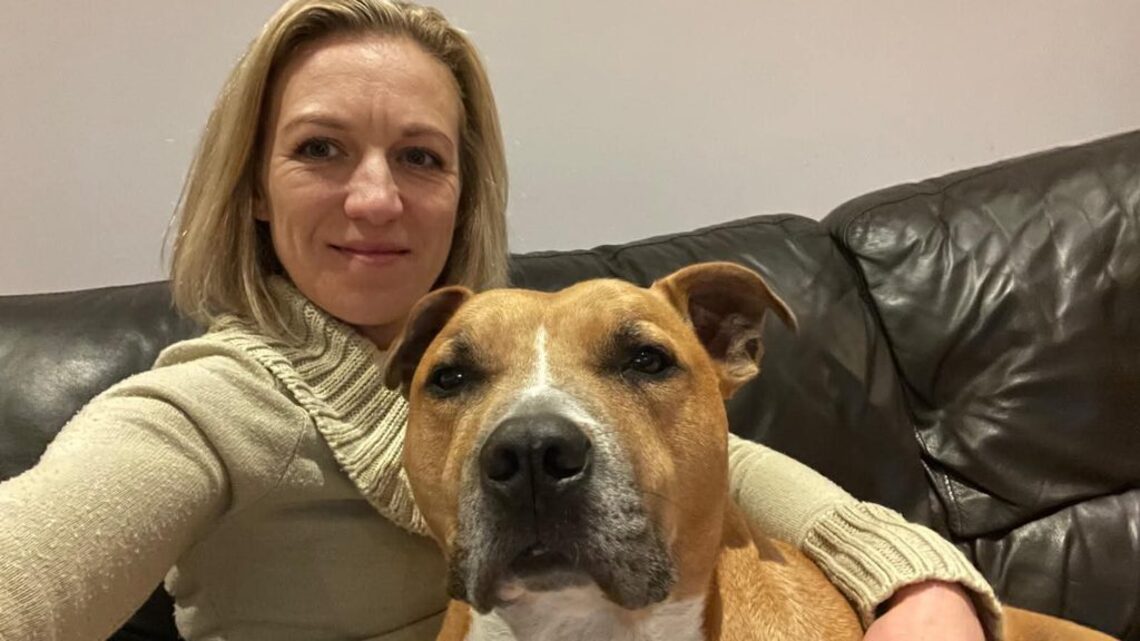 Woman reunited with fiancé's ashes after suitcase mix-up on train