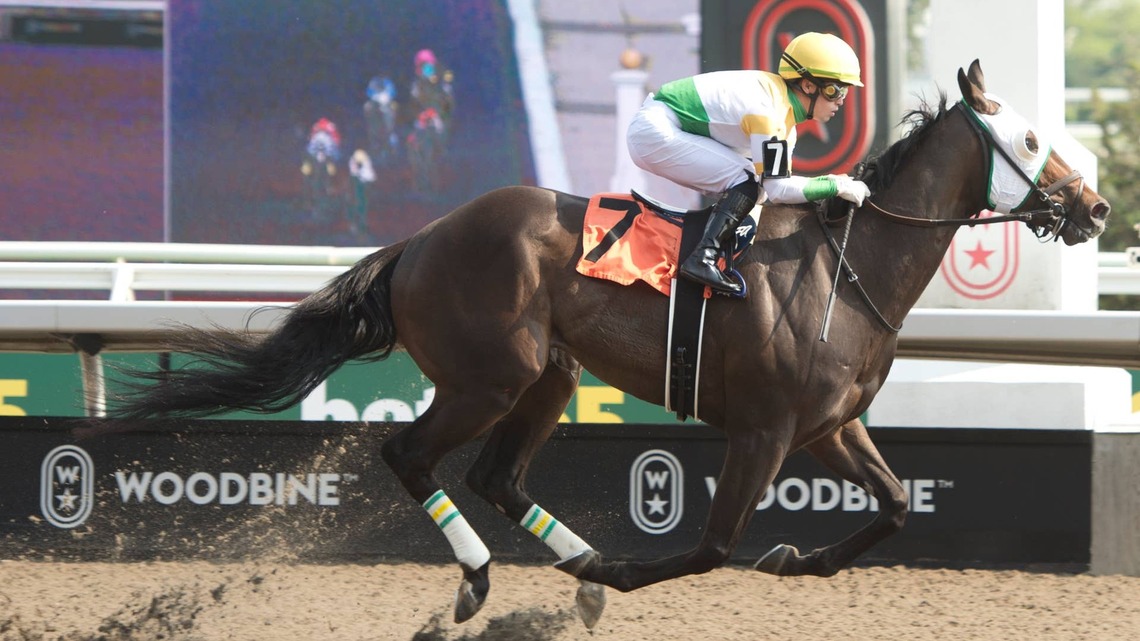 Western Whirl Looks To Go One Better In Nearctic Stakes 