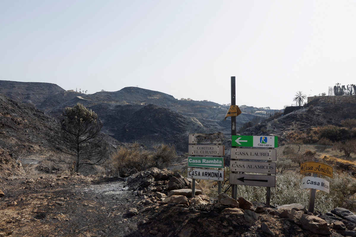 A view of the burnt area amid deadly wildfires affecting Almeria province, in Bedar, Spain, July 11, 2026. REUTERS/Jon Nazca