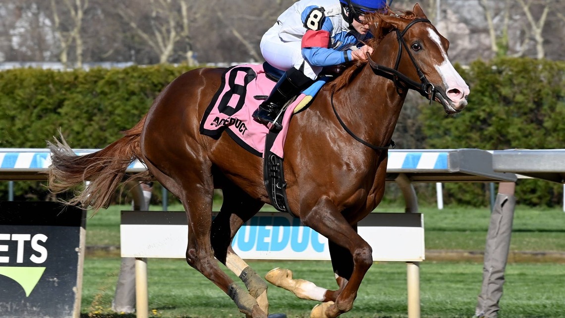 Sunday Girl Favored In Finger Lakes' Arctic Queen Stakes 