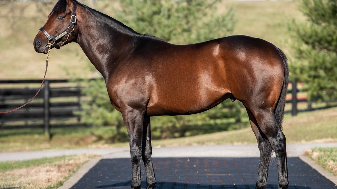 Preakness Winner Early Voting To Stand For $50,000 In 2027 