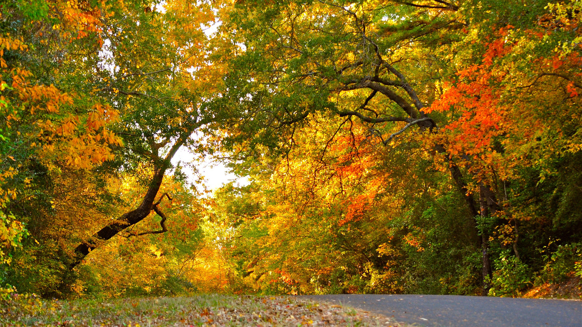 Fall is here in Washington DC. What to expect from the weather