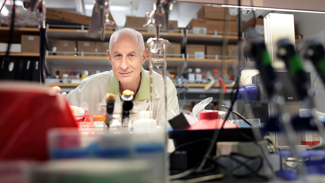 From mice to 'gym rats': Unregulated use of peptides raises alarm among researchers 