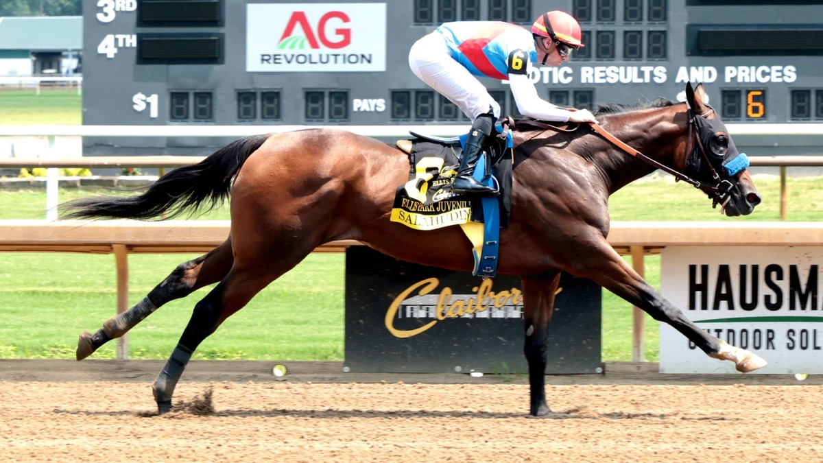 Undefeated Salahudin Kicks Off Kentucky Derby Trail In Iroquois