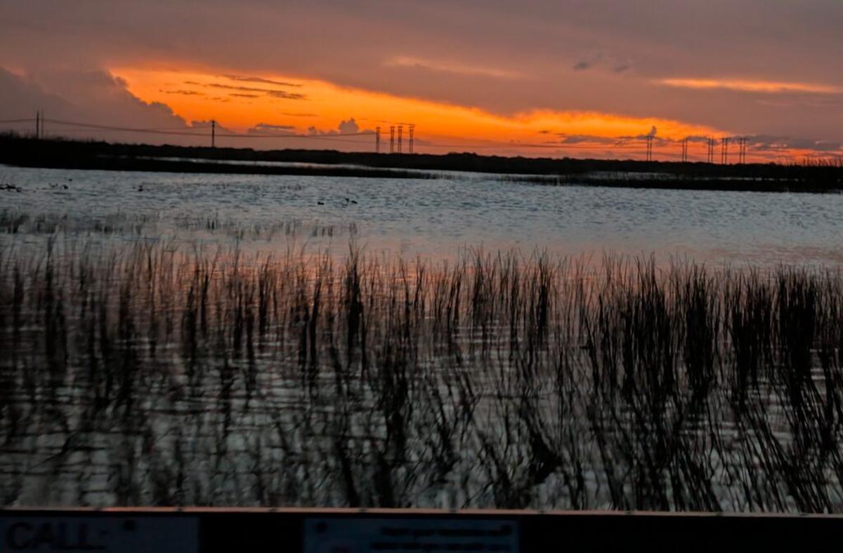  It’s esy to take photos like this one of a sunset over the Florida Everglades without a phone if you have Meta AI glasses. Photo credit: Cindy Richards 