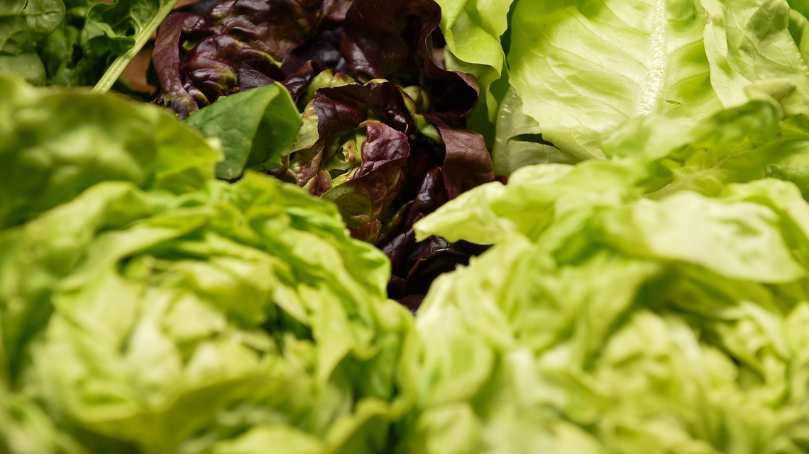 See full list of items included in Taylor Farms lettuce recall
