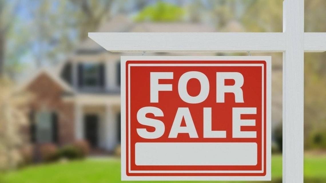  Andy Dean Photography // Shutterstock 