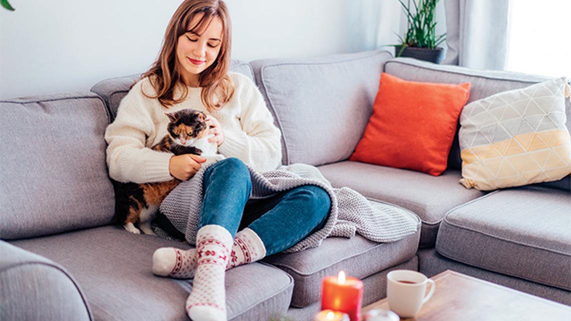 
        Keeping Pets Safe This Holiday Season: 5 Festive Safety Tips for Pet Owners
       