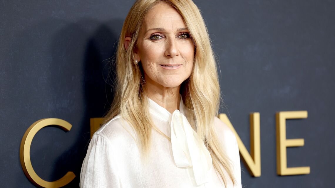 Dress Like Céline Dion! Sparkly Skirts to Wear From Fall to Winter 