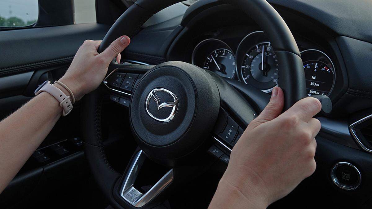 Steering wheel stock image