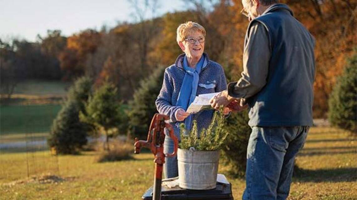 
        Fall Tree Planting: Expert Guidance for Optimal Growth
       