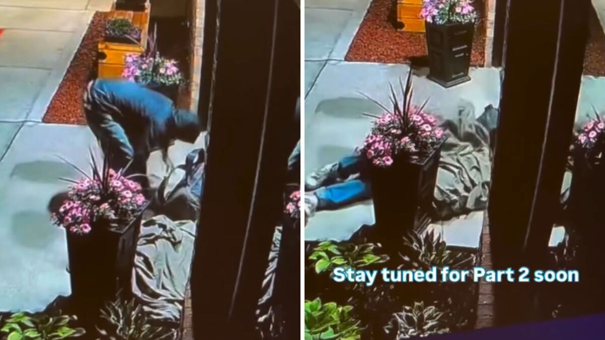 Screenshots from a June 6 Instagram video of security camera footage showing an owner camping outside the vet clinic at 4 a.m. after his dog was hit by a car. 