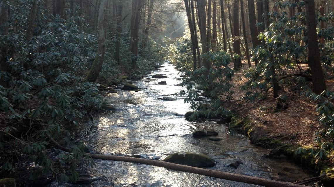 Georgia federal lawmakers backing Benton MacKaye Trail as new National Scenic Trail