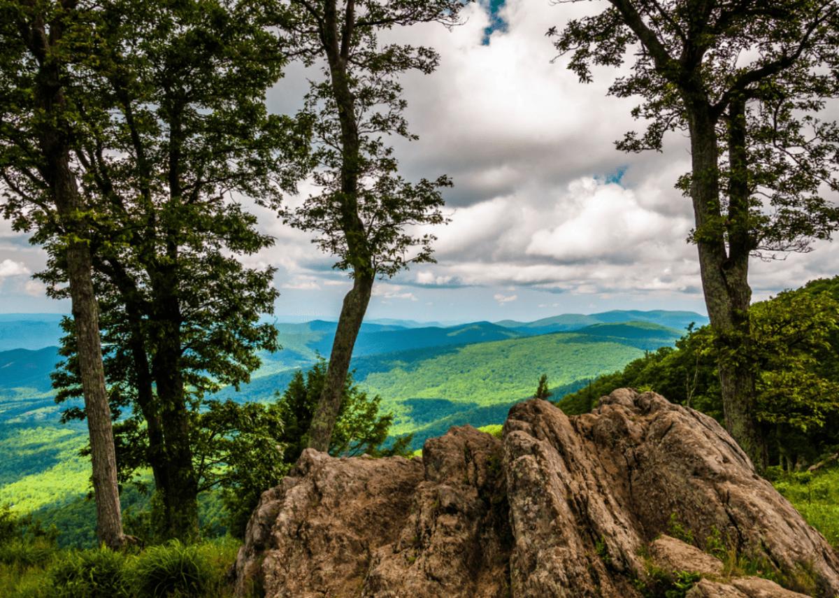  Jon Bilous // Shutterstock 