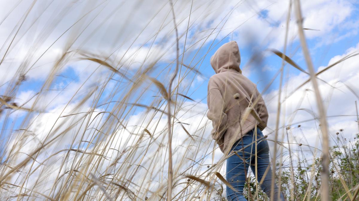 A woman stands in a Cook County forest preserve on May 6, 2026, where she likes to walk to calm her mind. She said she was sexually assaulted in 2024 in her apartment at Niche 905 by a building’s security guard. (Stacey Wescott/Chicago Tribune/TNS)